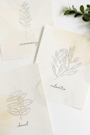 Herb Prints | Set of 3