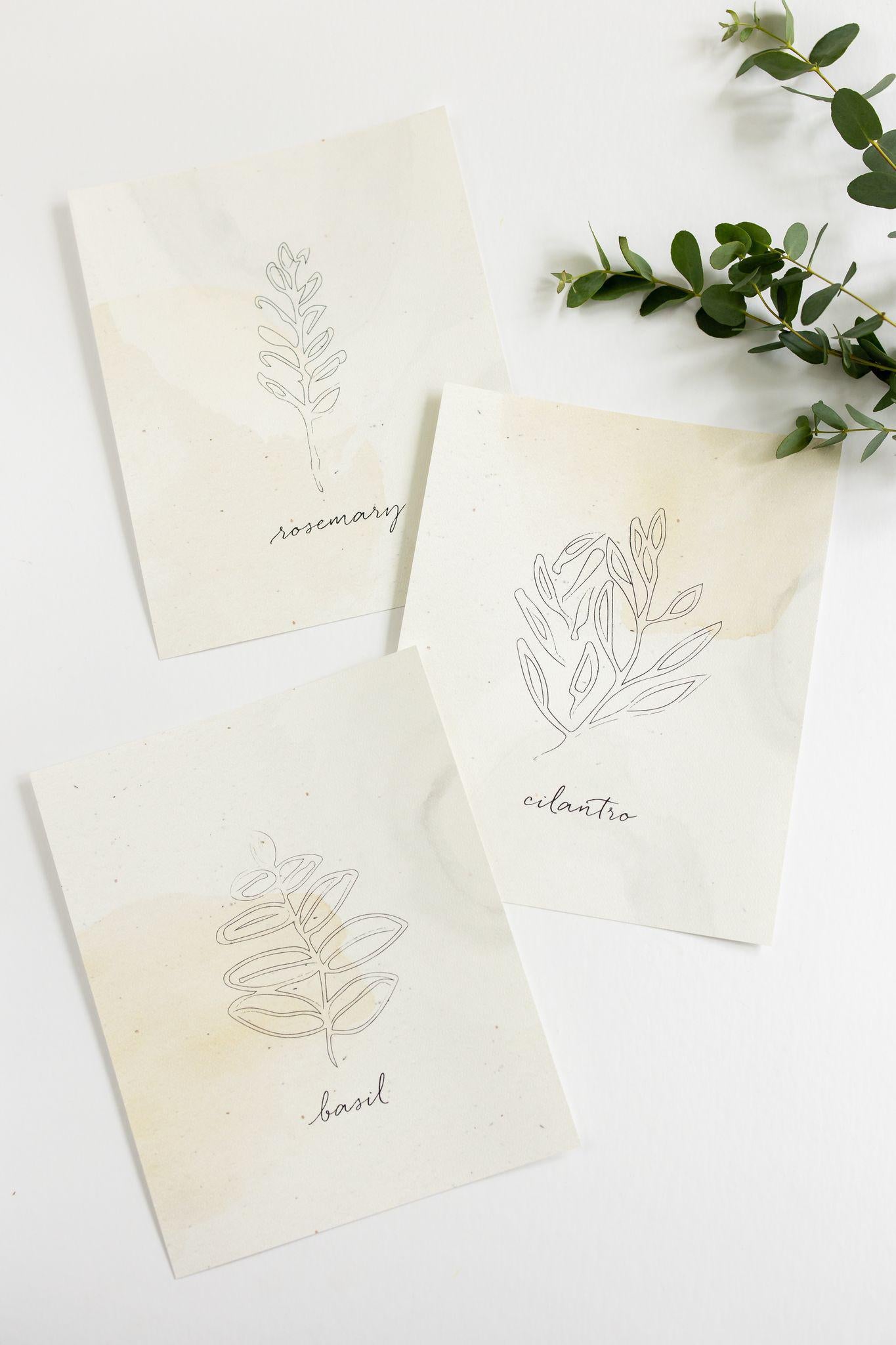Herb Prints | Set of 3